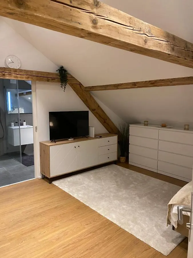 Eine Schoene Wohnung An Der Birs Bazel