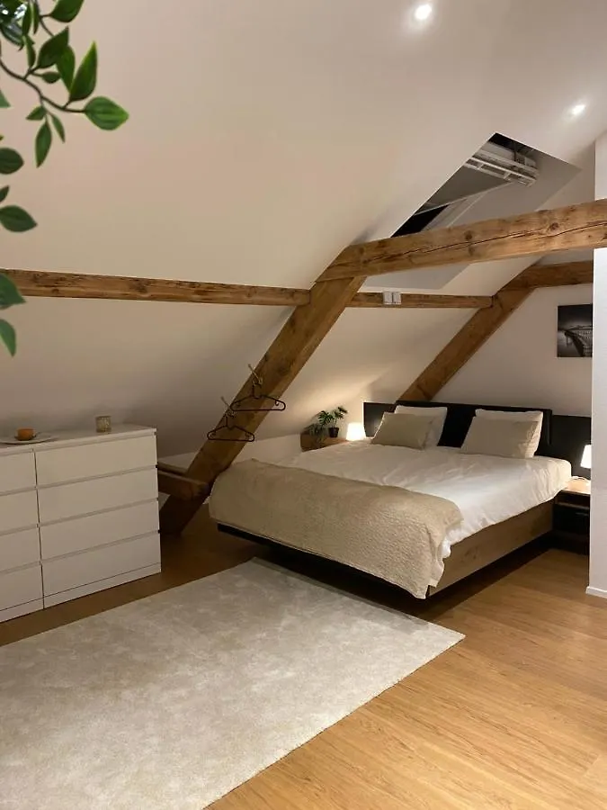 Eine Schoene Wohnung An Der Birs Bazel 0*,