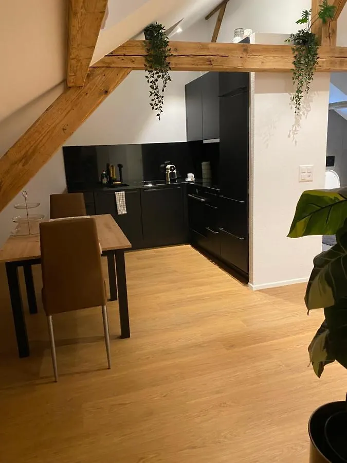 Eine Schoene Wohnung An Der Birs Bazel Appartement